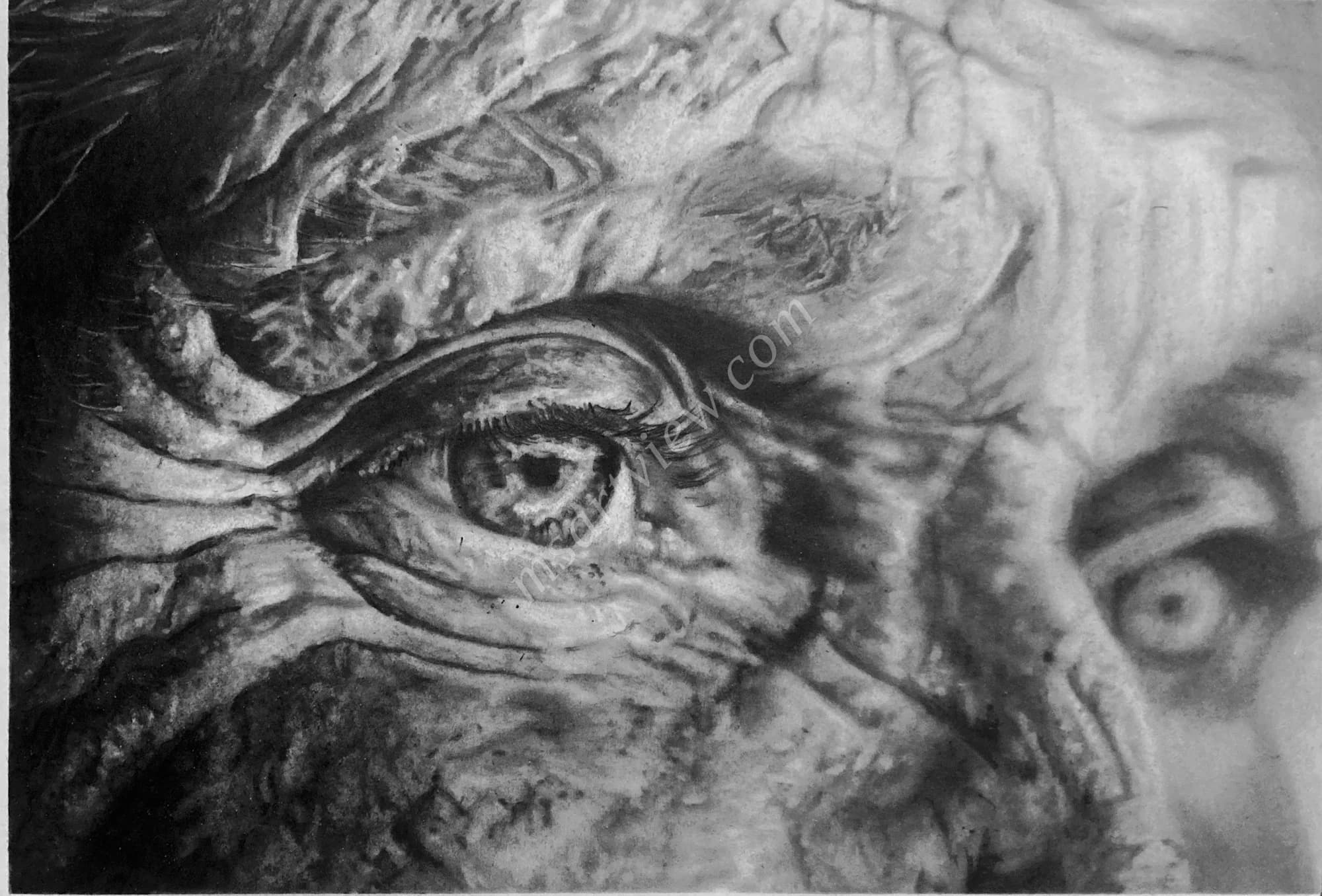 Regard sur le passé